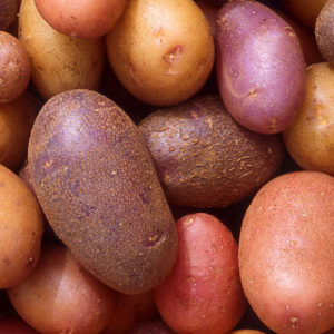 Standard Potato Collection - Red, White, Blue - 1 Lb