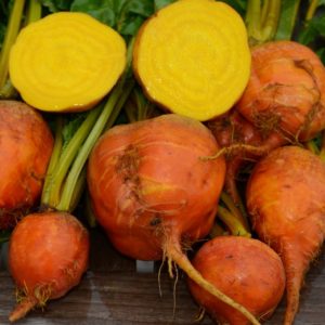 Beet, Detroit Golden