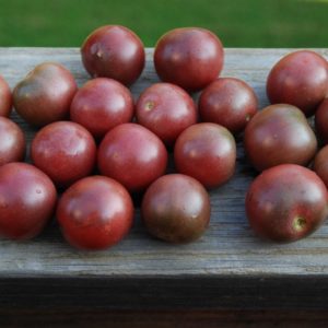 Cherry Tomato, Black Cherry