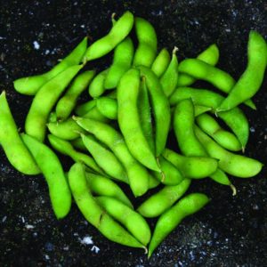 Bush Bean, Soybean - Edamame