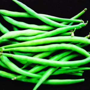 Bush Bean, French Filet