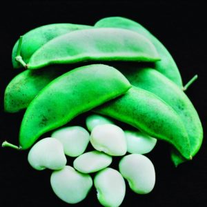 Bush Lima Bean, Henderson's Dwarf