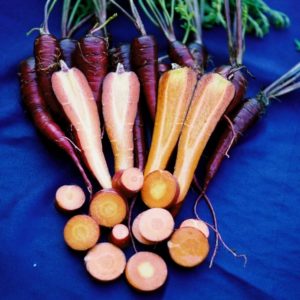 Carrot, Cosmic Purple