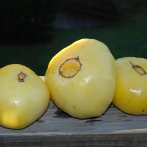 Slicing Tomato, Great White