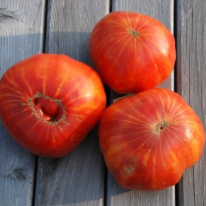 Slicing Tomato, Mr. Stripey