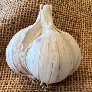 Turban Garlic, Xian - 4 oz