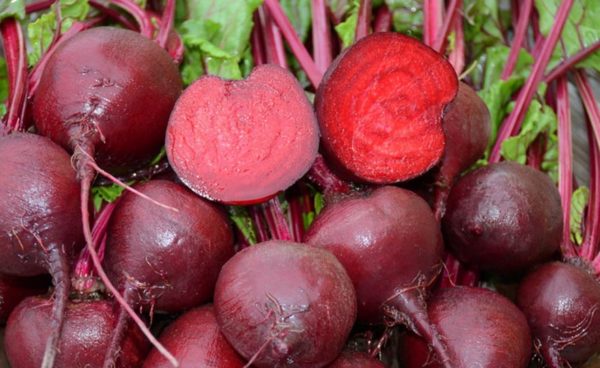 Beet, Lutz's Green Leaf
