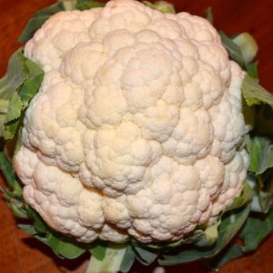 Cauliflower, Snowball Early