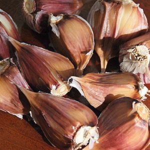 Asiatic Garlic, Asian Tempest - 4 oz