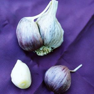 Creole Garlic, Burgundy - 4 oz