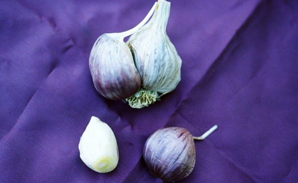 Creole Garlic, Burgundy - 4 oz