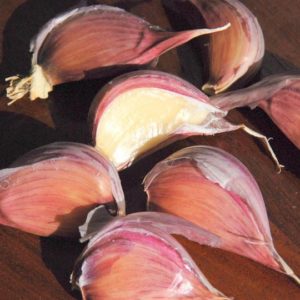 Purple Striped Garlic, Chesnok Red - 4 oz