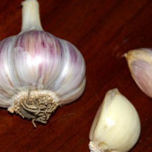 Marbled Purple Striped Garlic, Metechi - 4 oz