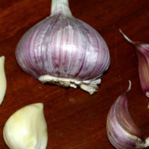 Purple Striped Garlic, Persian Star - 4 oz