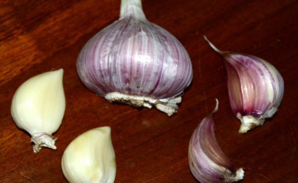 Purple Striped Garlic, Persian Star - 4 oz