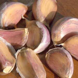 Artichoke Garlic, Red Toch - 4 oz