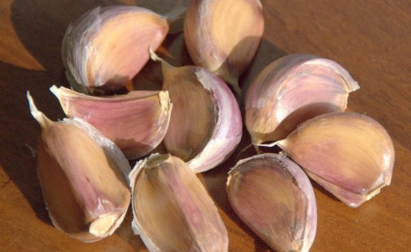Artichoke Garlic, Red Toch - 4 oz
