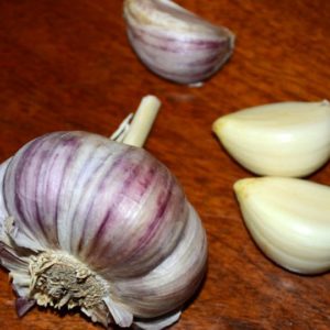 Rocambole Garlic, Spanish Roja - 4 oz