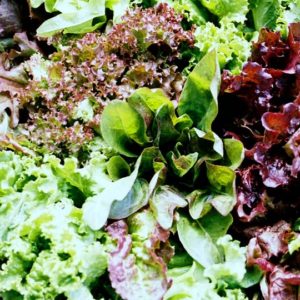 Lettuce, Gourmet Salad