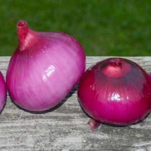Red Burgundy