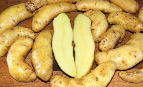 Fingerling Potato - Austrian Crescent  - 1 Lb