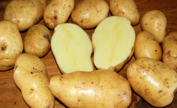 Standard Potato - Floridana - 1 LB