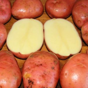 Standard Potato - Desiree - 1 Lb