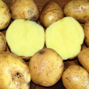 Standard Potato - Jelly - 1 Lb
