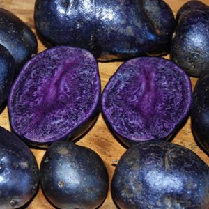 Standard Potato - Purple Majesty - 1 Lb