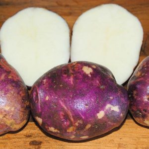 Standard Potato - Purple Viking - 1 Lb