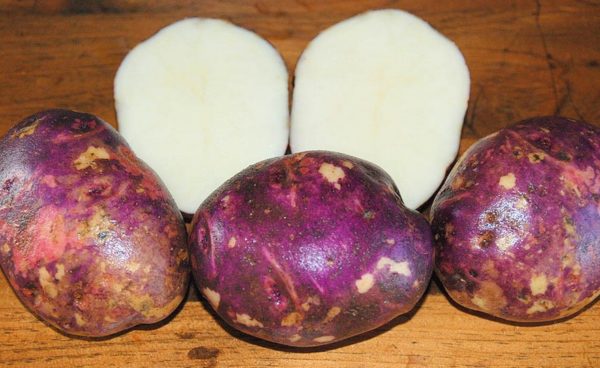 Standard Potato - Purple Viking - 1 Lb