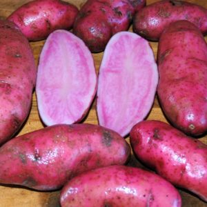 Fingerling Potato - Amarosa - 1 Lb