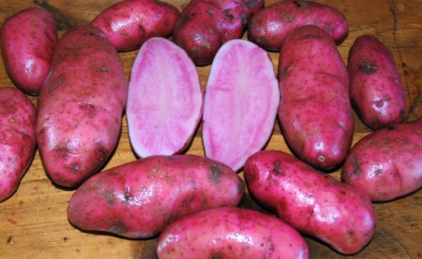Fingerling Potato - Amarosa - 1 Lb