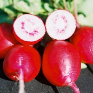 Radish, Cherry Belle