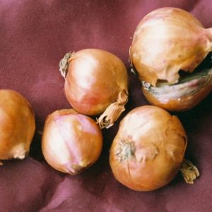 Shallot Sets - 8 per bag
