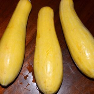 Summer Squash, Early Prolific Yellow Straightneck