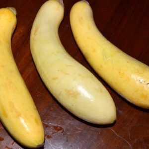 Summer Squash, Early Yellow Crookneck
