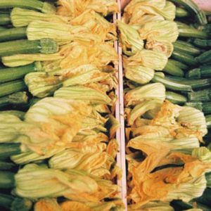 Summer Squash, Zucchini Dark Green