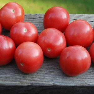 Grape-Shaped Cherry Tomato, Amish Salad