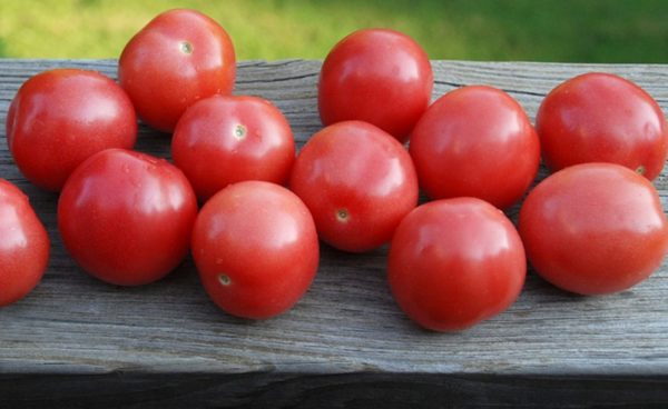 Grape-Shaped Cherry Tomato, Amish Salad