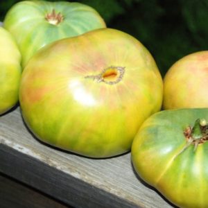 Slicing Tomato, Aunt Ruby’s German Green