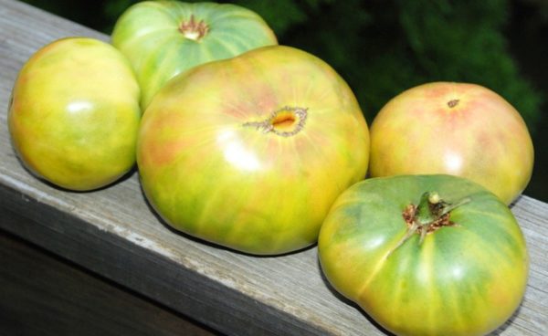 Slicing Tomato, Aunt Ruby’s German Green