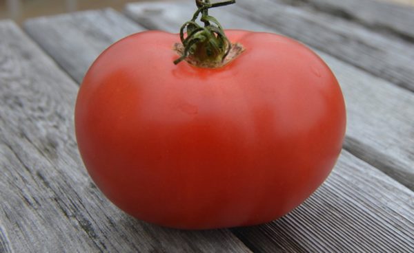 Slicing Tomato, Eva Purple Ball