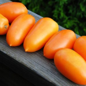 Paste/Plum Tomato, Orange Banana