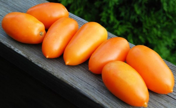 Paste/Plum Tomato, Orange Banana