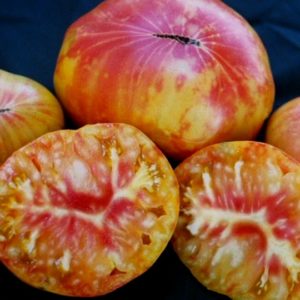 Slicing Tomato, Pineapple