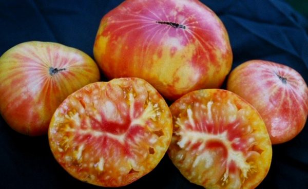 Slicing Tomato, Pineapple