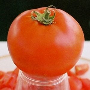 Slicing Tomato, Red Siberian