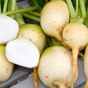 Turnip, Gold Ball