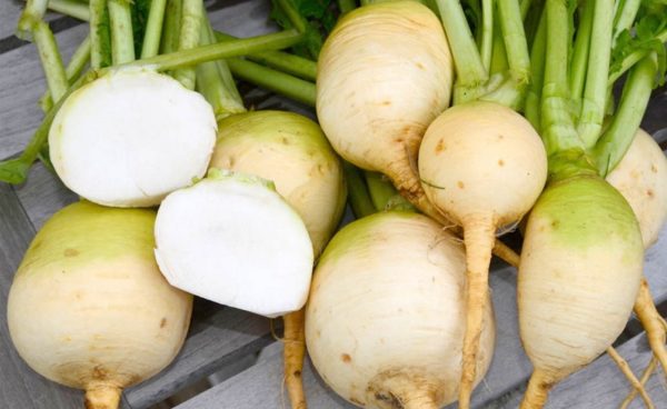 Turnip, Gold Ball